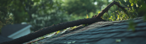 tree branch fallen on roof