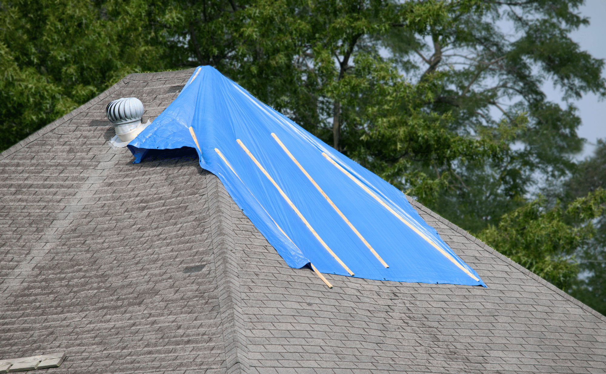 Steps to Take Immediately After a Storm Damages Your Roof