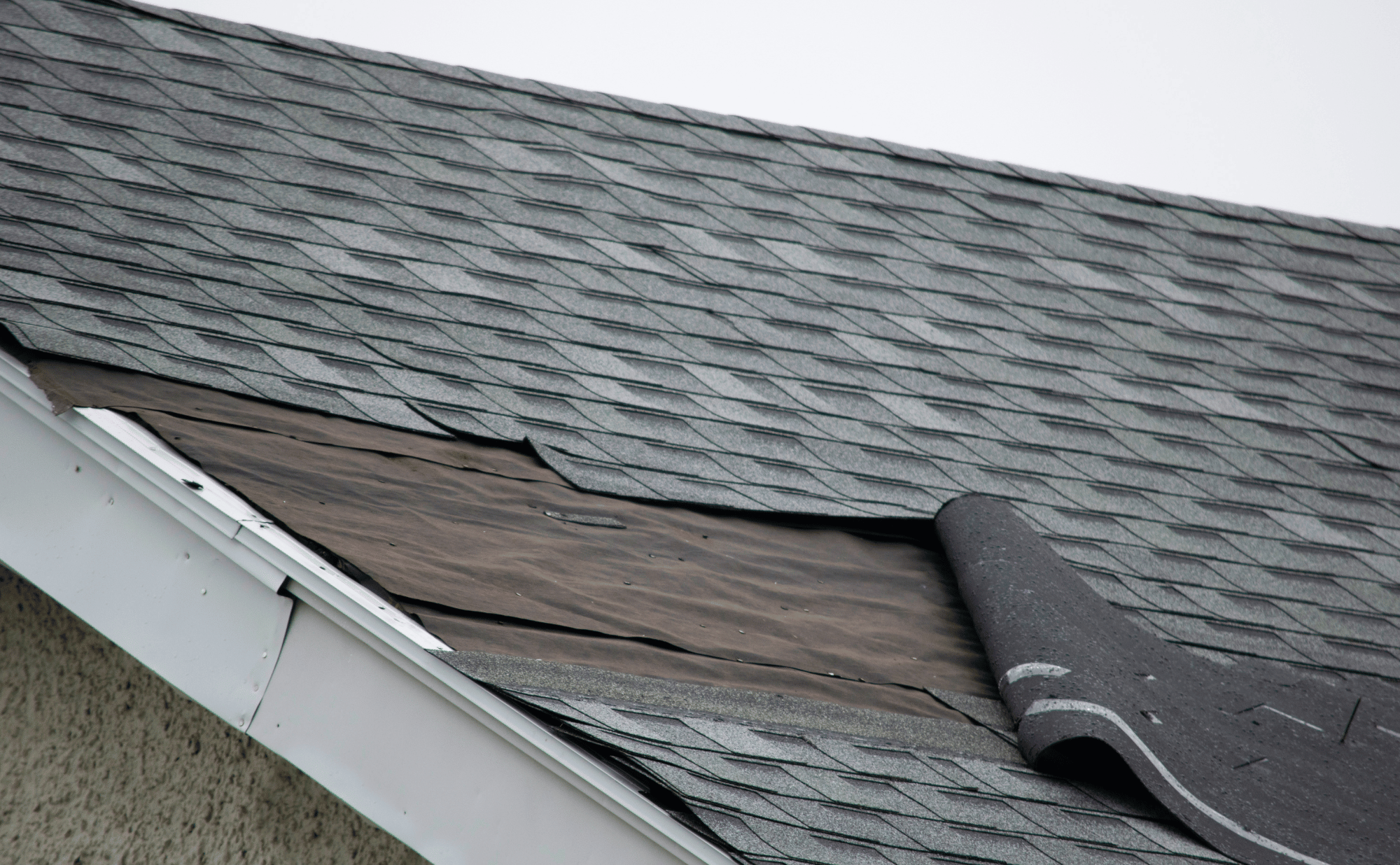 Steps to Take Immediately After a Storm Damages Your Roof