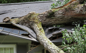 Steps to Take Immediately After Storm Damages Your Roof in Colorado Springs- Kimberlin Family Roofing