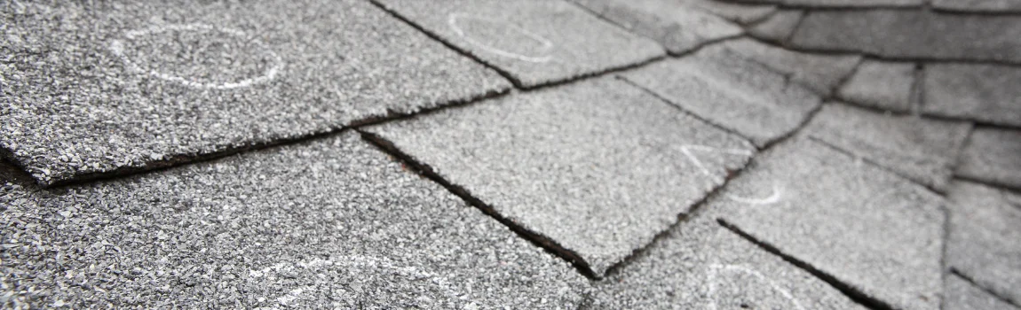 roof with hail damage circles